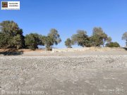 Kokkinos Pyrgos Kreta, Kokkionos Pirgos Äußerst seltenes Baugrundstück direkt am Meer zu verkaufen Grundstück kaufen